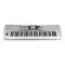 Korg i3 MS Matte Silver