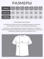 Футболка именная Александр