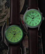 Наручные часы Fossil LE1084