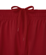 Шорты игровые Jogel DIVISION PerFormDRY Union Shorts, гранатовый 83