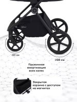 Коляска 2 в 1 Rant Teo
