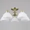 Потолочная люстра  IL0905-5CSQ-26 AB ELITE ILLUMICO
