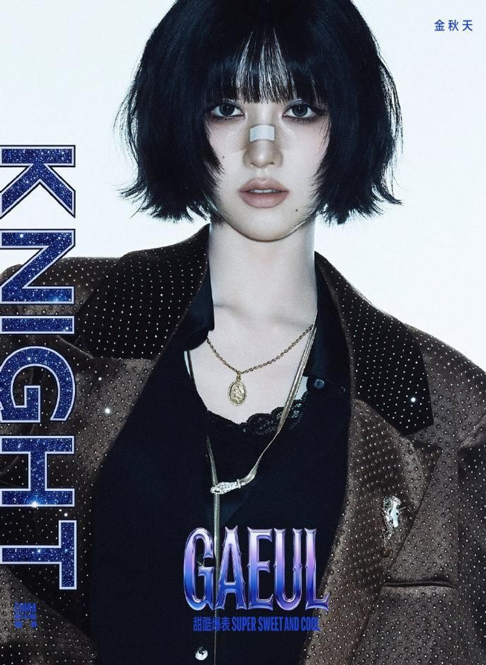 публикация KNIGHT (CHINA) - 2026.04 GAEUL B Type