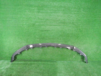 DSCN6203.JPG