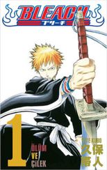 Bleach 1.Cilt