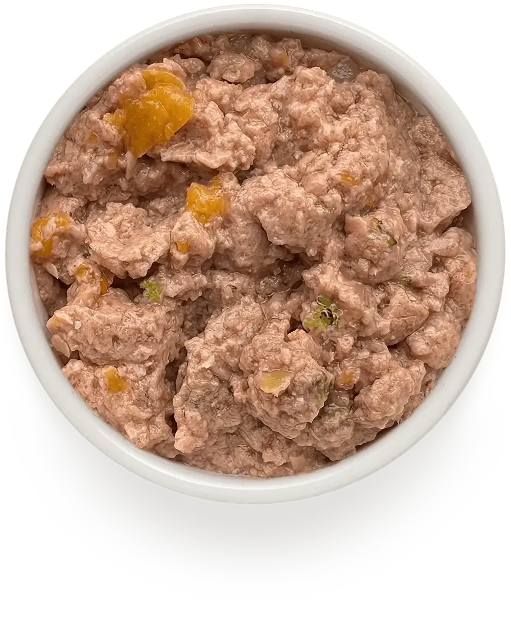 Консервы GRANDORF FRESH для собак, паштет из индейки с тыквой и брокколи