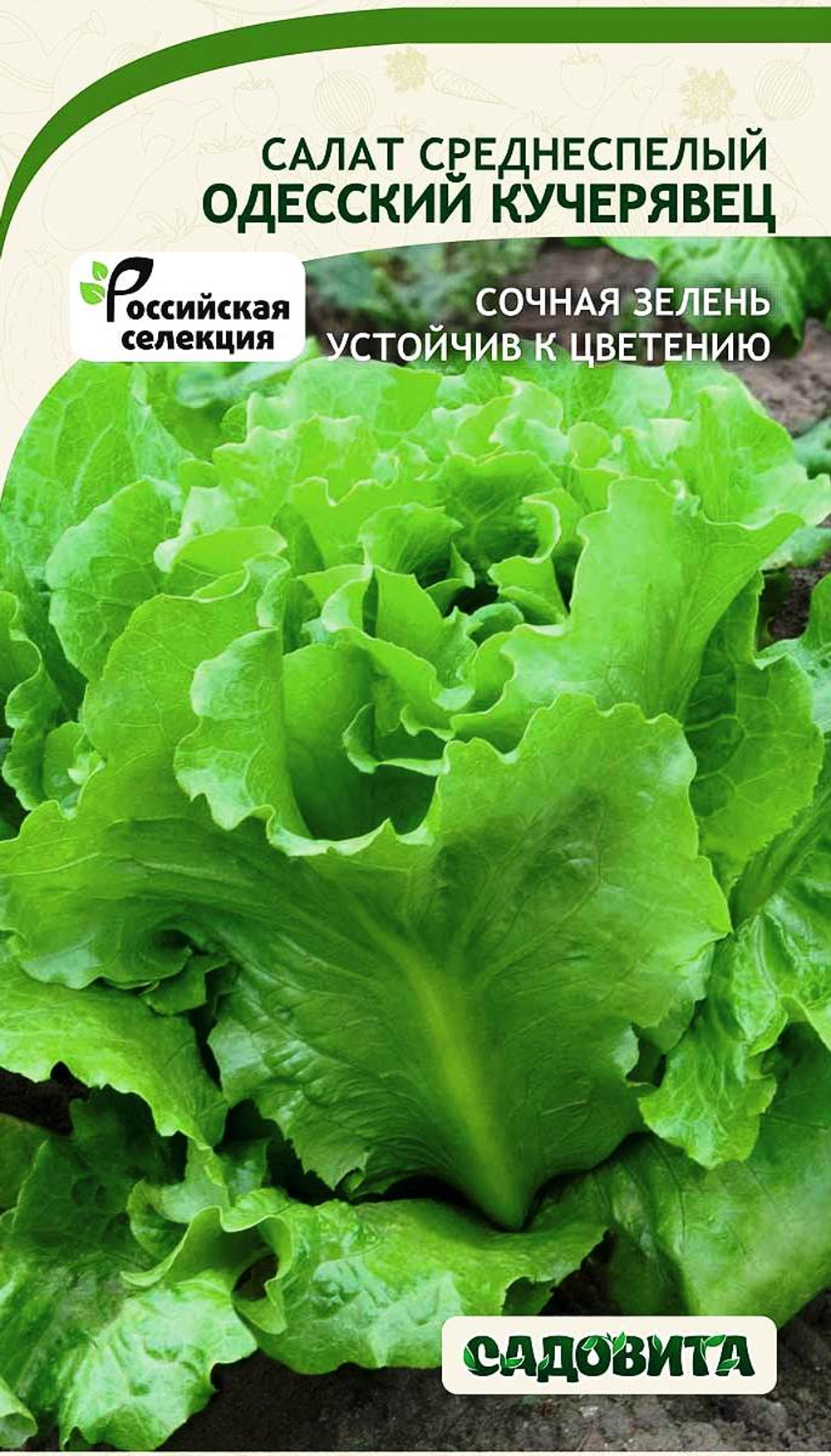 Салат Одесский кучерявец 0,5гр Садовита