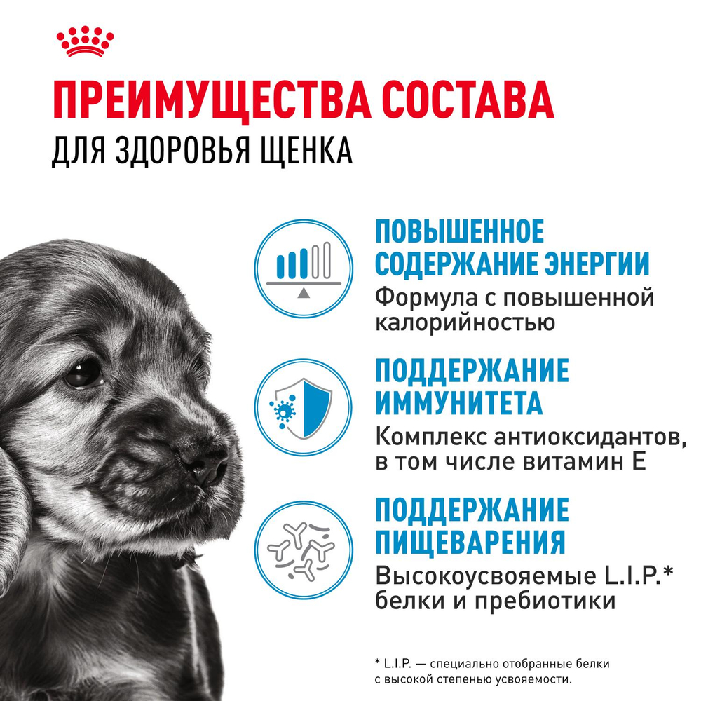 Royal Canin Mini Puppy Мини Паппи Корм влажный для щенков мелких пород в возрасте до 10 месяцев соус 85г