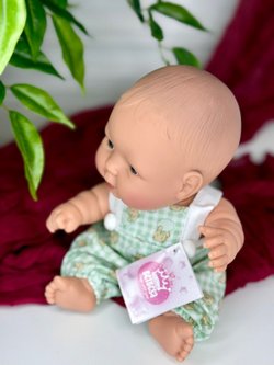 Кукла пупс для девочки Горди 26см (260B3)