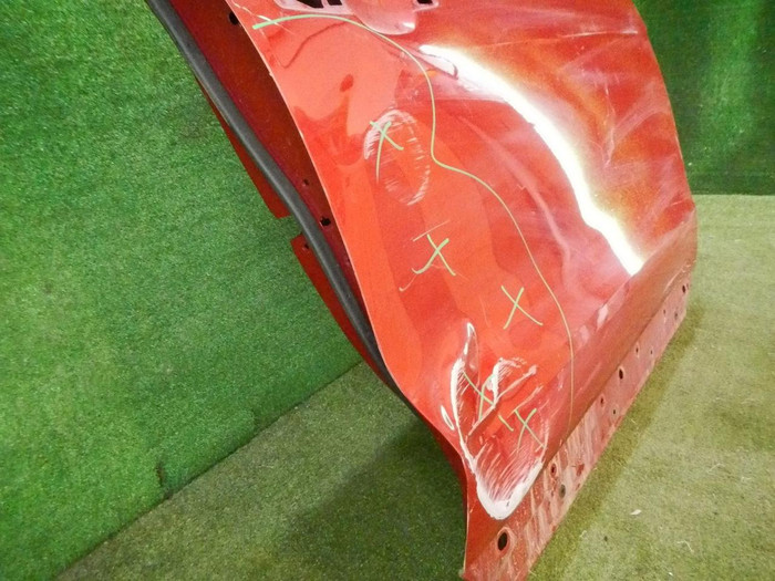 DSCN5267.jpg