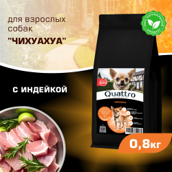Корм сухой для взрослых собак породы Чихуахуа, с индейкой, 800 гр, QUATTRO