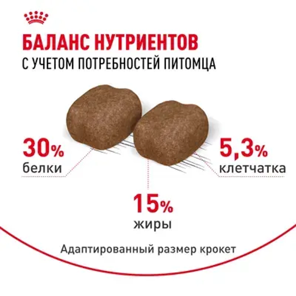 ROYAL CANIN (Роял Канин) Dental Care Корм сухой для взрослых кошек для профилактики образования зубного налета и зубного камня, 400 г