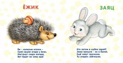 Книжки-картонки. Лесные животные