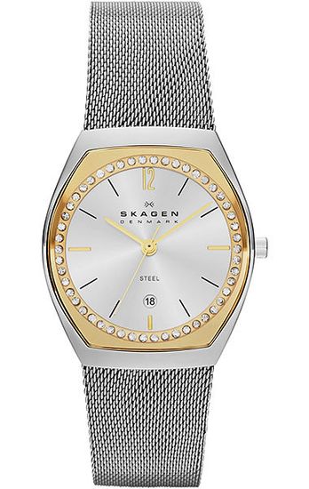 Наручные часы Skagen SKW2050