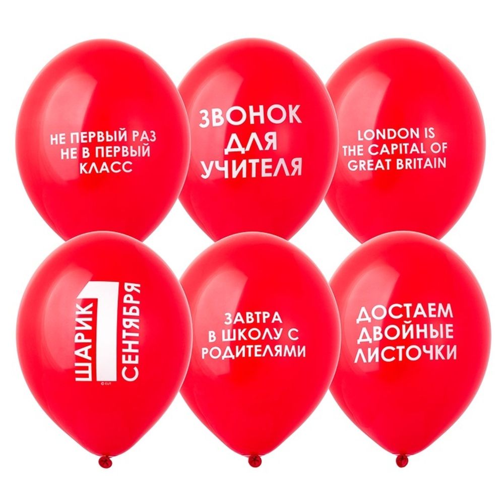 B 14" 1 Сентября прикольные 50 шт