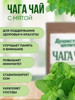 Чага чай с мятой 200 грамм