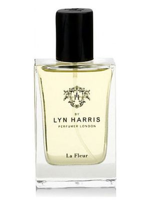 Marks and Spencer Lyn Harris La Fleur
