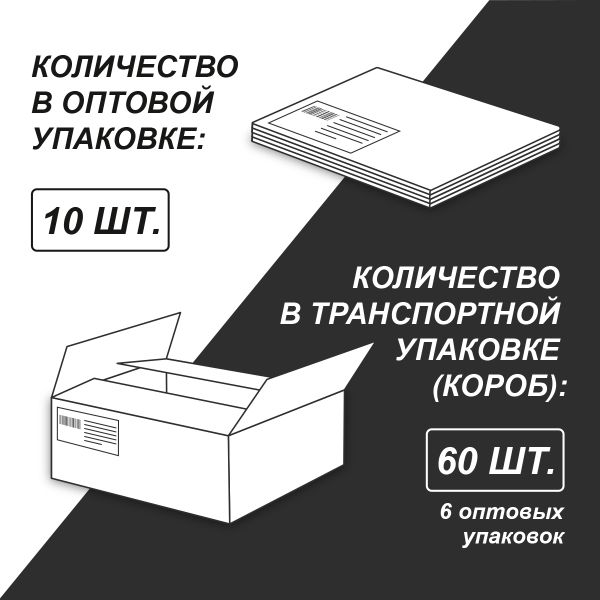 Тетрадь со справочным материалом На задней парте, выбор.лак, A5+ 48 л. на скобе 65 г/м², белизна 100 %, 10 шт, клетка, 01306 На задней парте Физика, Светоч Т141