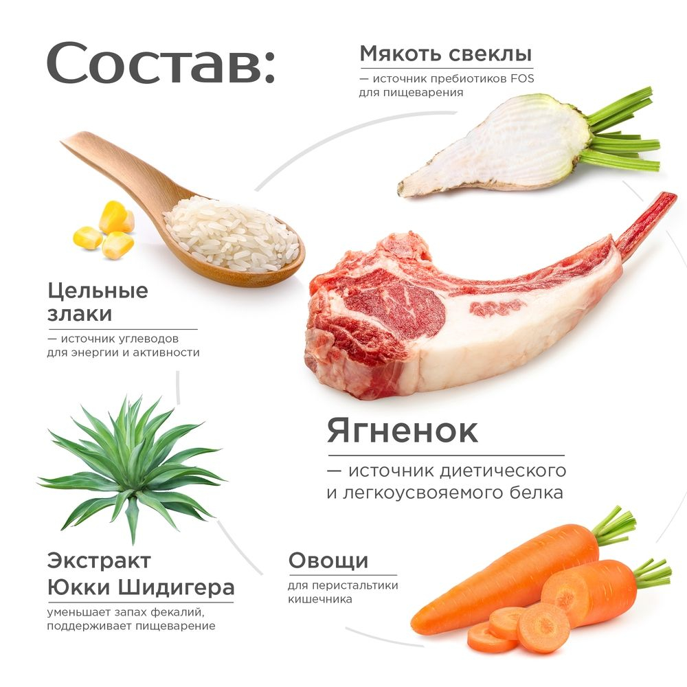 Корм сухой для взрослых собак средних пород, премиум полнорационный комплекс, для городских собак, с ягненком, 2,5 кг, QUATTRO