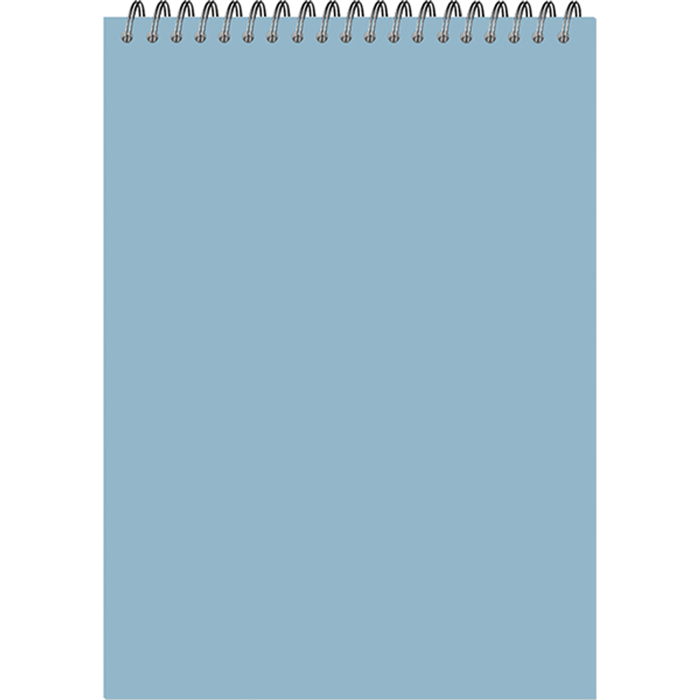 Блокнот-скетчбук Fine Line classic format Format Pastel A4 20 листов на металлическом гребне