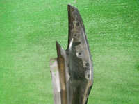 DSCN5783.jpg