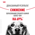 Royal Canin Mini Dental Care Мини Дентал кэа Корм сухой для собак мелких пород против образования зубного камня 3кг