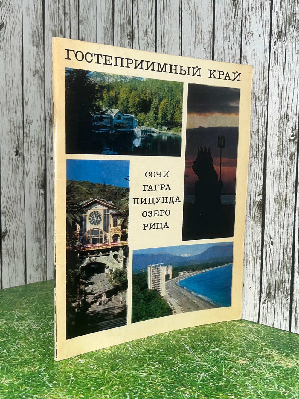 Путеводитель "Сочи/Гагра/Пицунда/Озеро Рица"