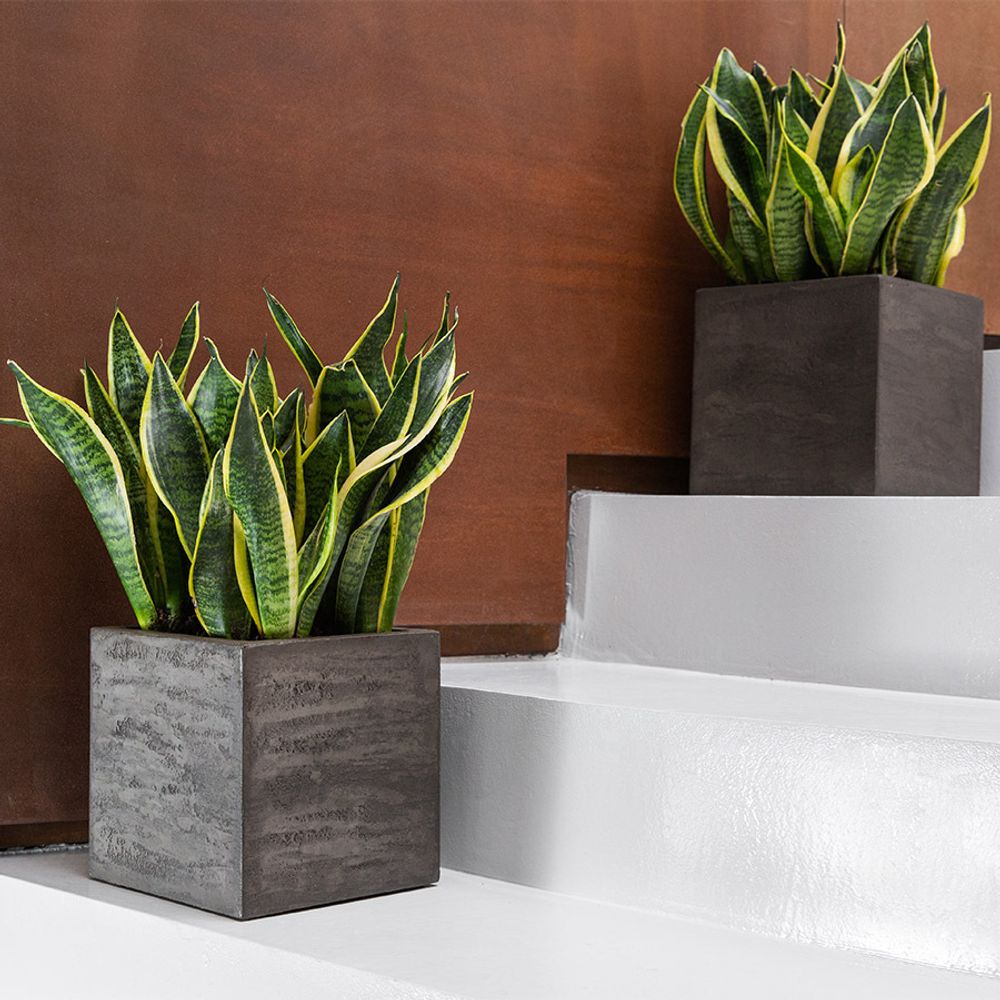 Кашпо DEVIDER BREZENT GREY 60x30x50