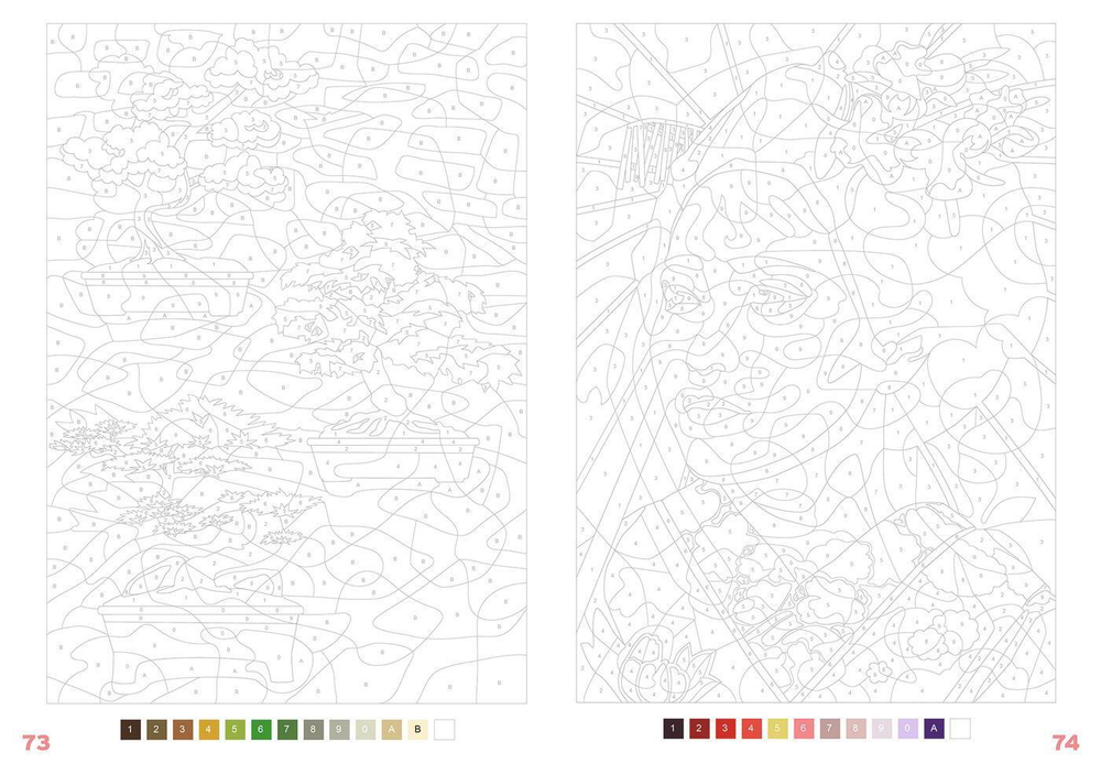 Hachette  раскраска по номерам  Coloriages mystères - Japon