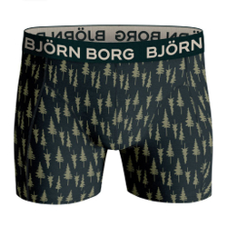 Мужские спортивные боксеры Björn Borg Core Boxer 2P - разноцветный
