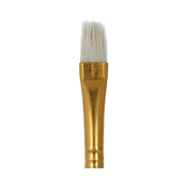 Кисть щетина №10 плоская, 5 шт, длинная ручка, 10, Mr.Painter BBR 134-10