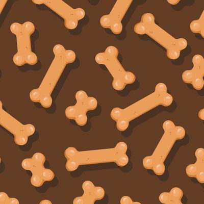 Dog cookie bones