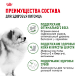 Royal Canin Mini Indoor Adult Мини Индор Эдалт Корм сухой для взрослых собак мелких пород в возрасте от 10 месяцев живущих в помещении 500г