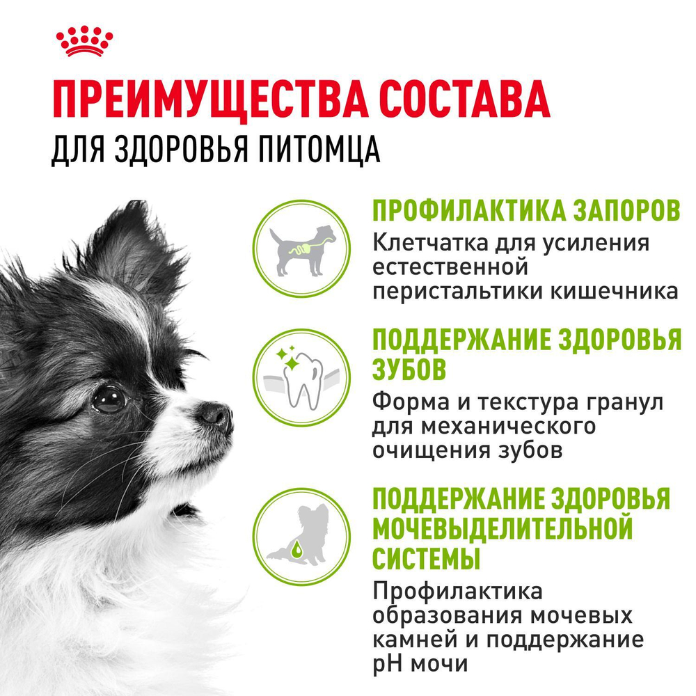Royal Canin X-Small Adult Икс-Смол Эдалт Корм сухой для взрослых собак миниатюрных пород от 10 месяцев 1,5кг