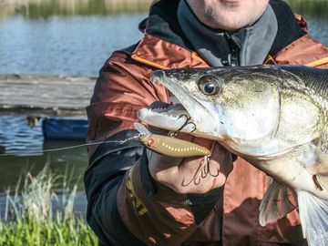 Воблер сусп. LJ Pro Series BASARA SP 05.60/302