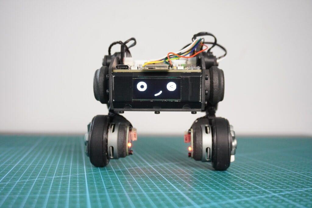 Бипод NavBot-EN01 (STEM) with display