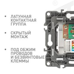Розетка ЭРА Серия 12 12-3110-04 комбинированная RJ45+TV IP20 шампань | Эра 12