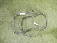 DSCN4473.JPG