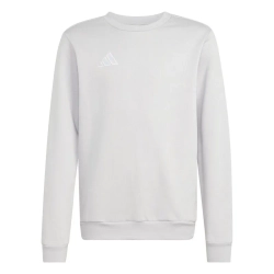Детская теннисная толстовка Adidas Kids Entrada 26 Sweat Top - team light grey/white