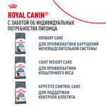 Royal Canin Digestive Care Дайджестив Кэа Корм сухой профилактика нарушений пищеварительной системы для взрослых кошек 10кг