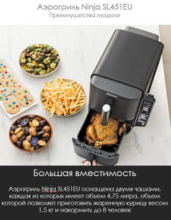 Аэрофритюрница Ninja SL451EU черный