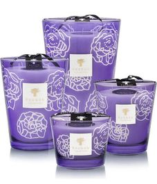 Dark Parma, свеча Collectible Roses MAX 10, Baobab Collection