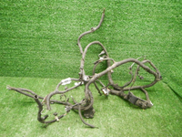 DSCN1272.JPG