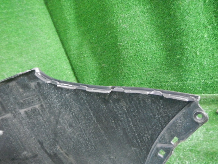 DSCN4237.JPG