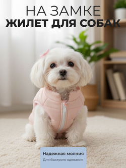 Жилет для собак