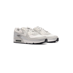 Кроссовки Nike Air Max 90 Gore-Tex "Photodust"