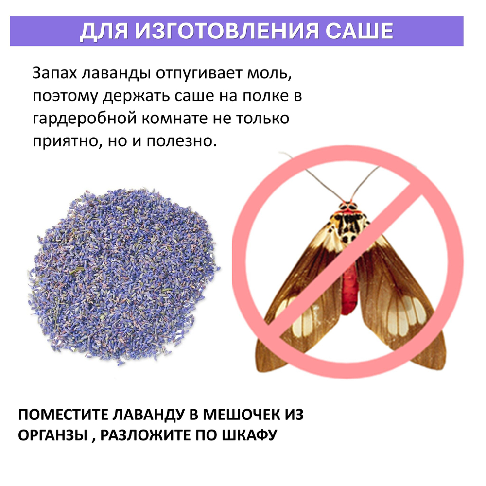 Лаванда сухоцвет