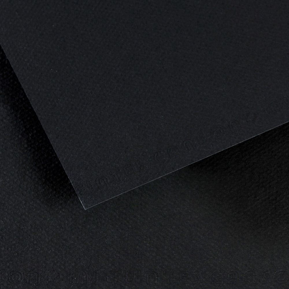 Бумага для пастели Mi-Teintes 160 г/м², A4 21х29.7 см, 25 л, №425 черный, Canson, C31036S038 Бумага для пастели Mi-Teintes 160 г/м², A4 21х29.7 см, 25 л, №425 черный, Canson, C31036S038