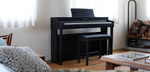 Kawai CN27