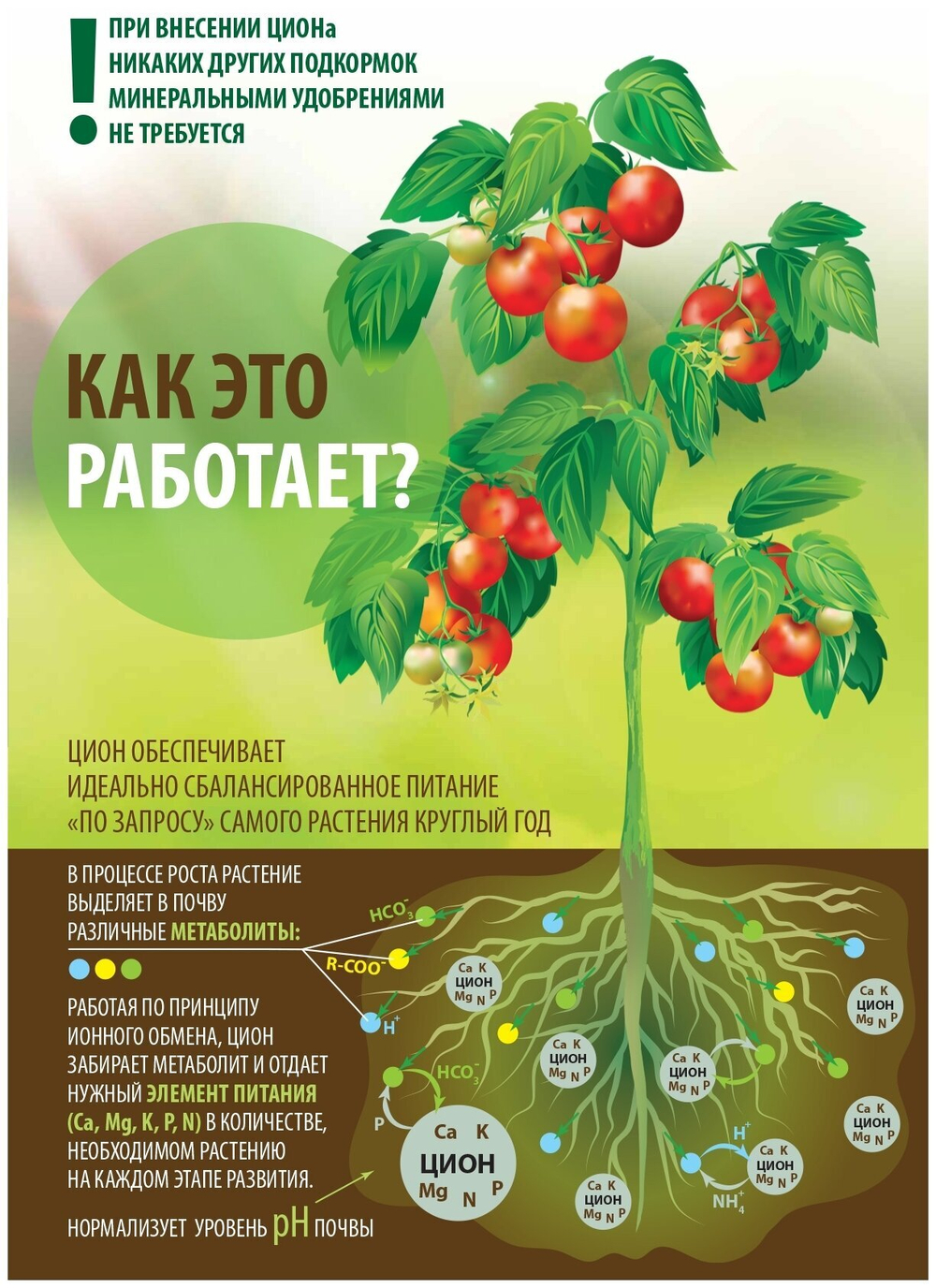 ЦИОН КЛАССИК 700 Г